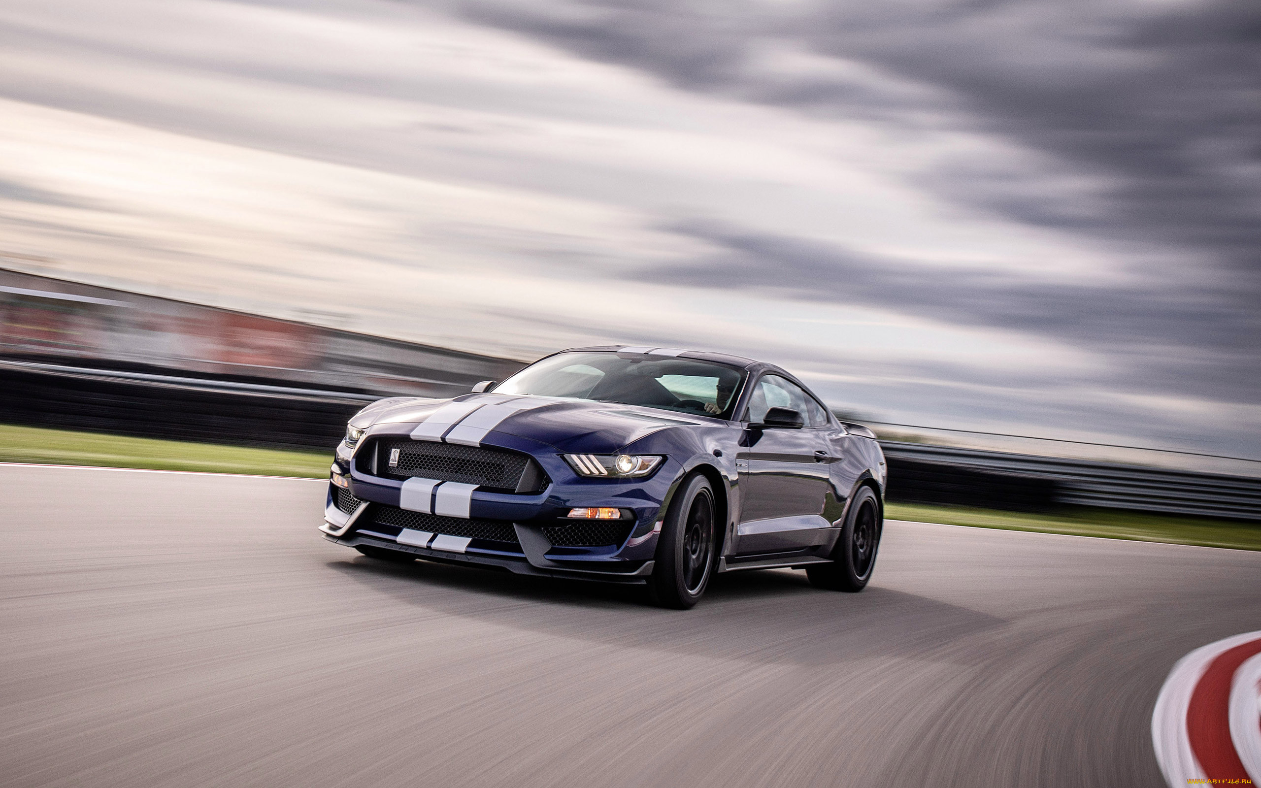 ford mustang shelby gt350 , 2019, , mustang, , , , , , , , , , , new